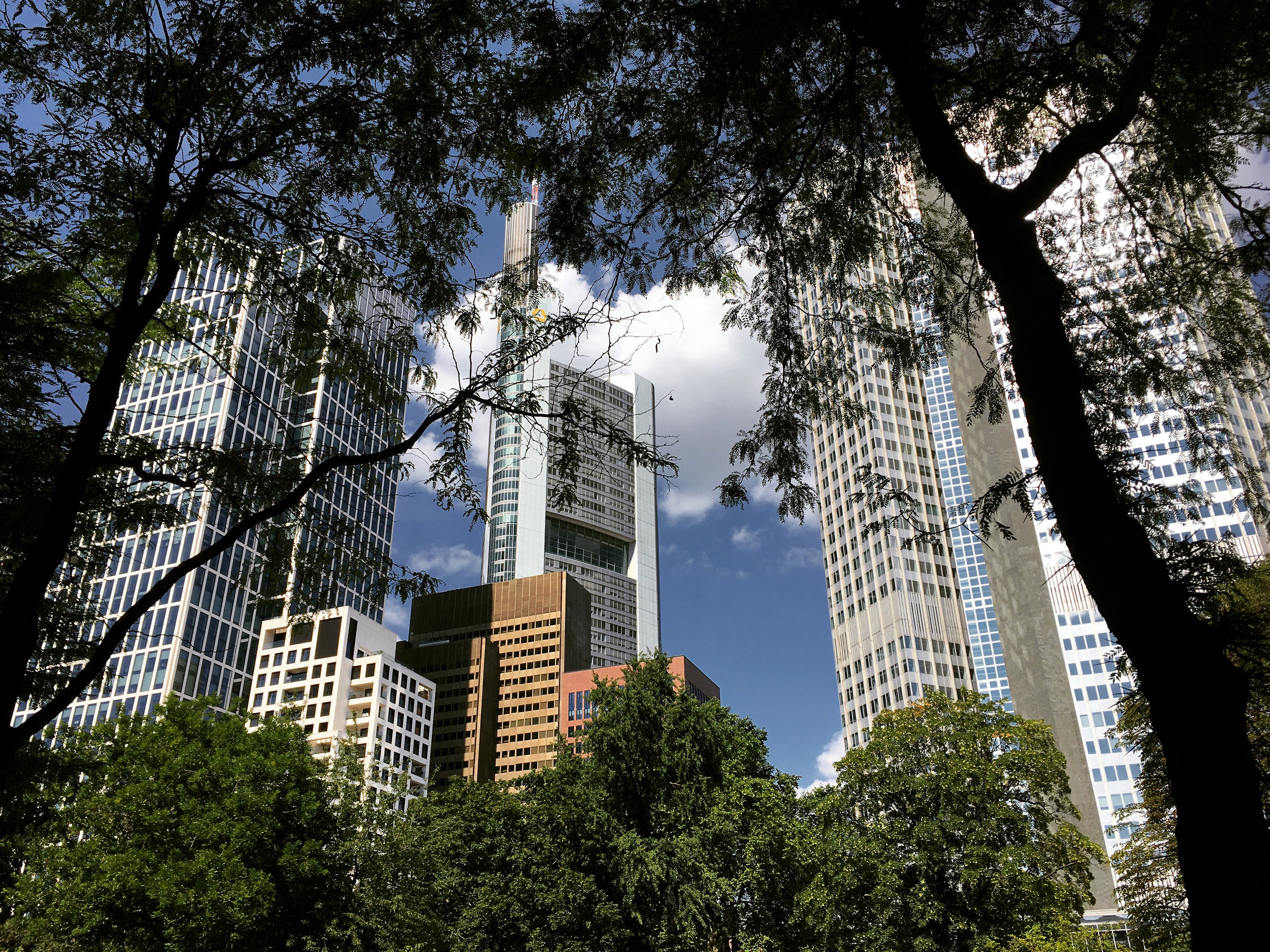 Frankfurt_5_12x9_.jpg
