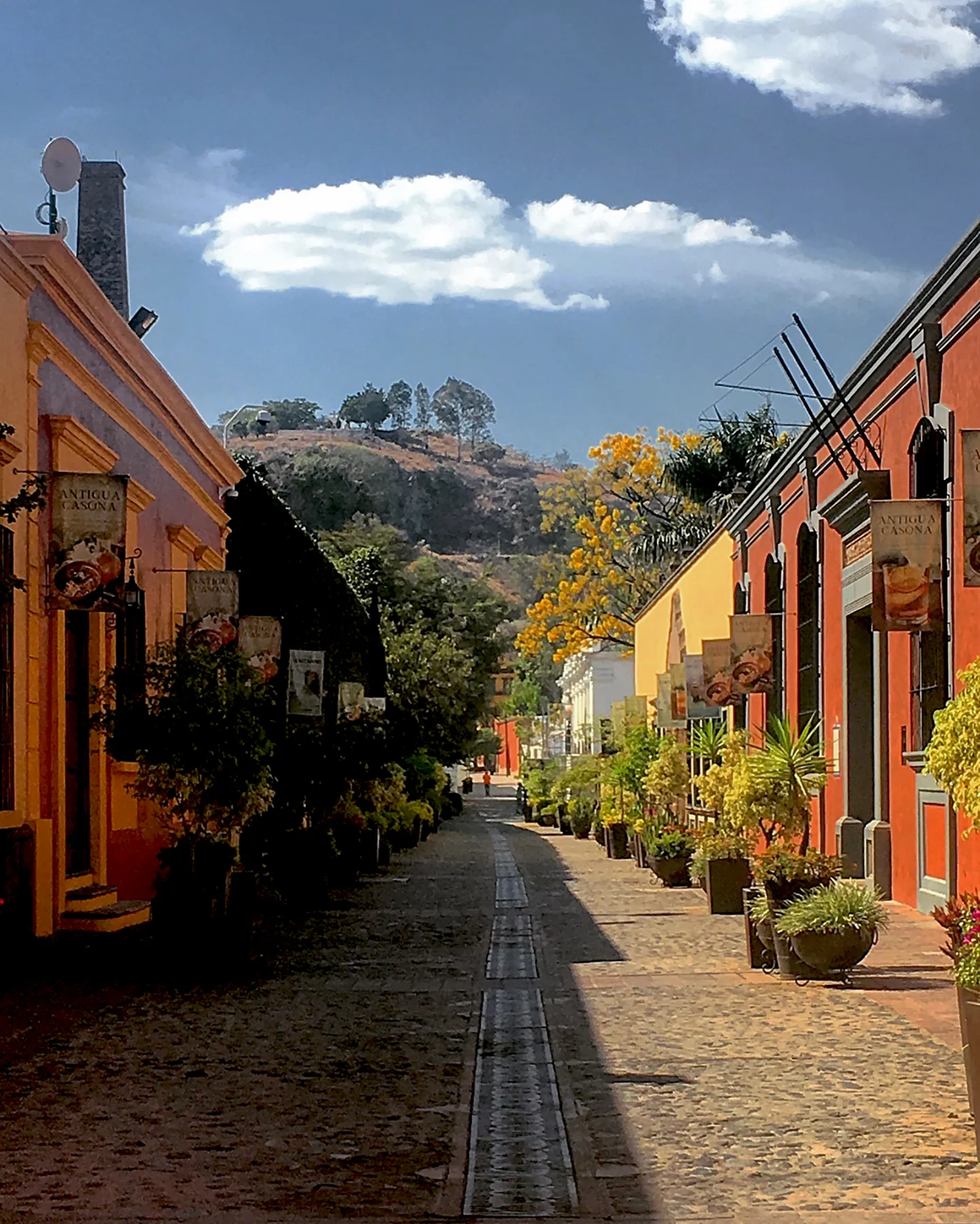 Tequila_2_9.6x12_.jpg