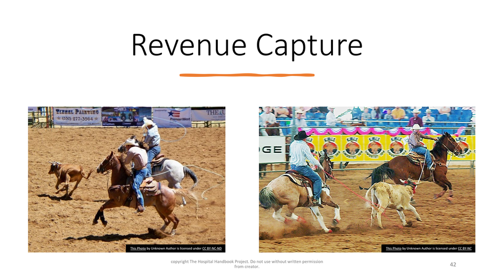 How 2 Hire_revenue capture title slide.png