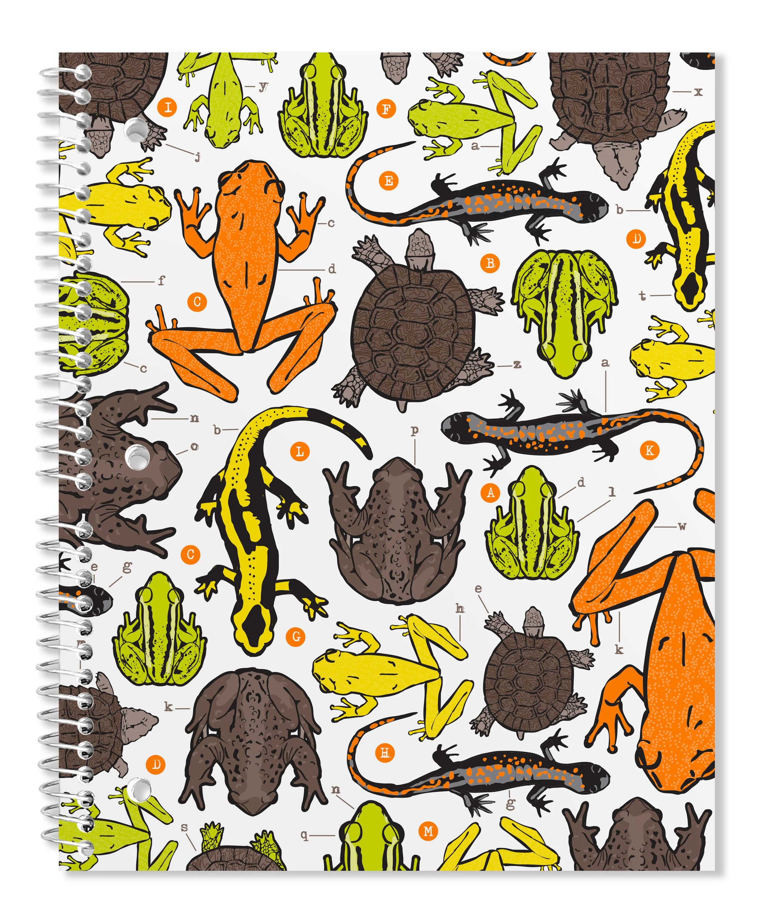 spiral-binder-frogs.jpg
