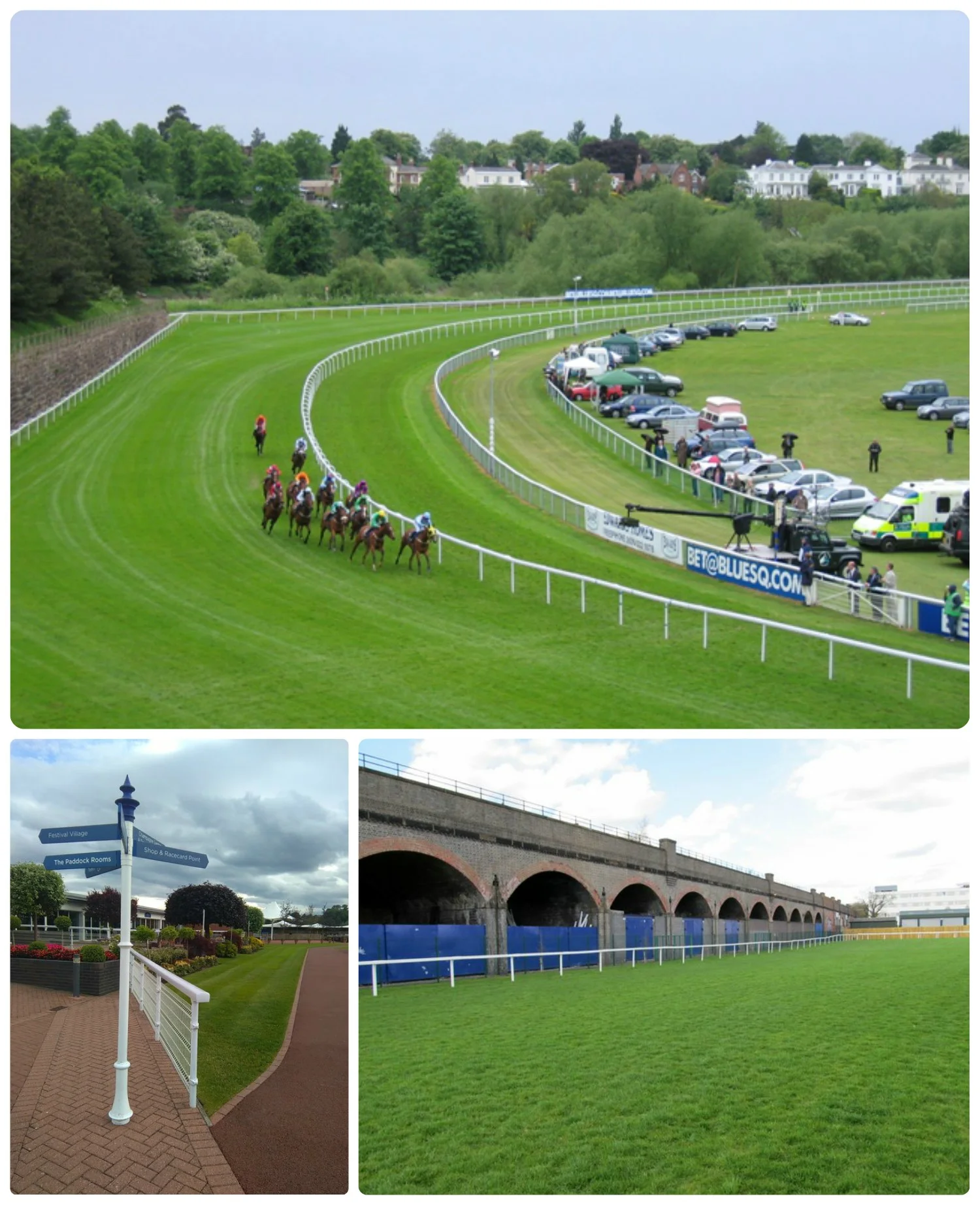 screw_the_average_chester_racecourse_collage.jpg