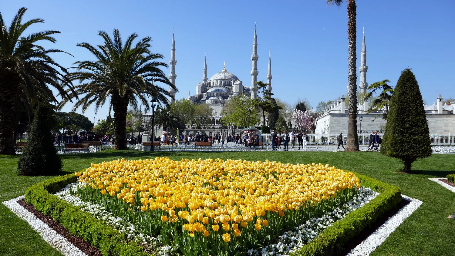 The Sultan Ahmed Mosque (The Blue Mosque) from Arkeolojik Park, Istanbul, Turkey