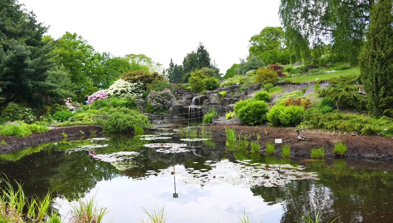 Oslo University Botanical Garden, Oslo, Norway