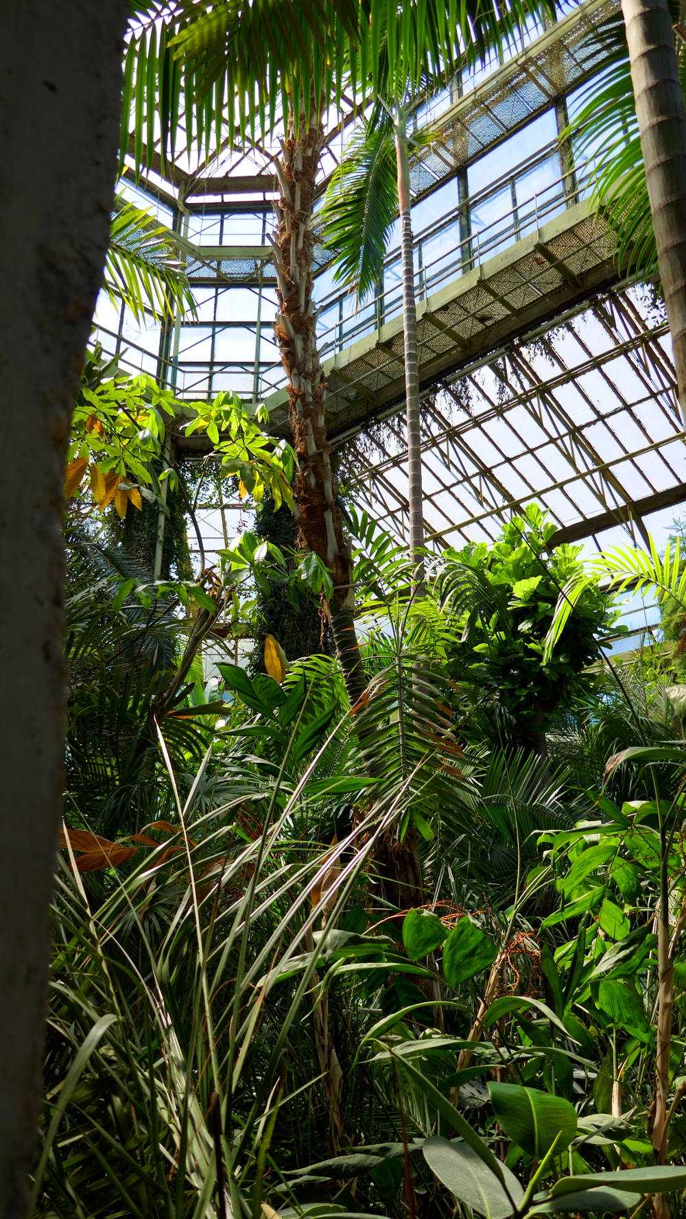 Green House, Bucharest Botanical Garden, Bucharest, Romania