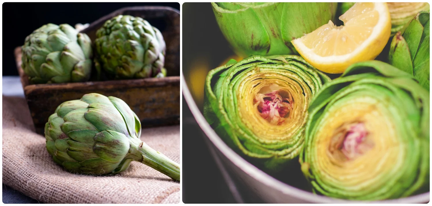 Roman artichokes Protected Geographical Indication roman style jeweish style romana alla giudea february march