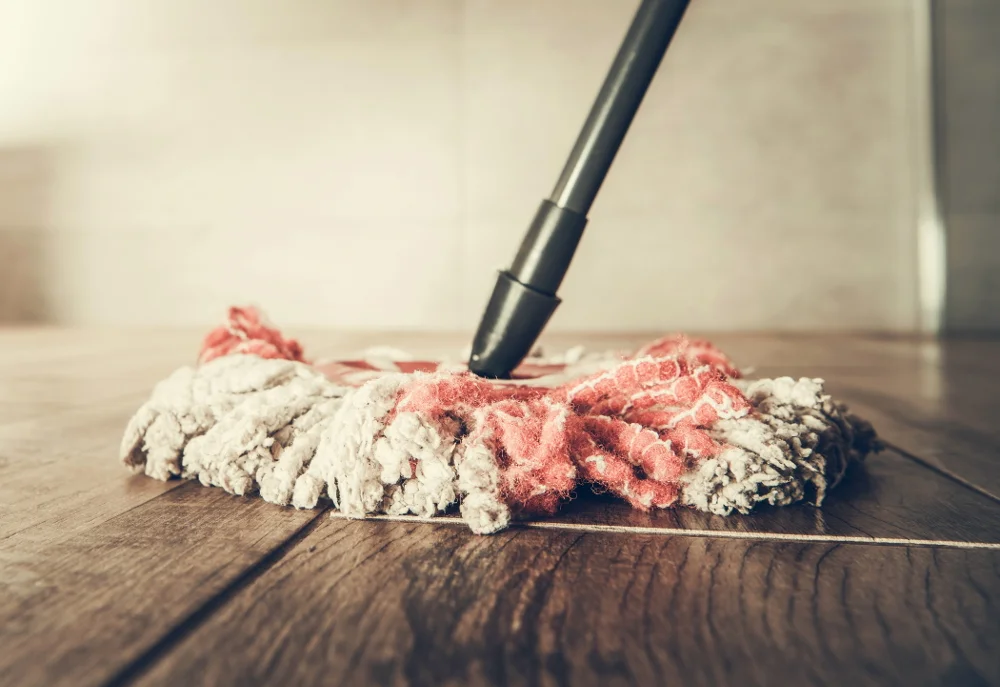 house sitting cleaning day to day tips to make it easier faster and leave a good impression for homeowners. Ultimate house sitting guide how to house sitting job instructions best sits travel cheap free budget travel hacking how to house sit full time long-term travel what is house sitting is house sitting right for you