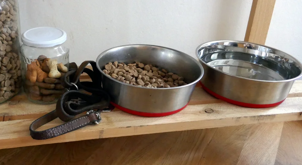 when leaving a house sitting job be sure to leave the dog and cat extra food and give them plenty of walks, playtime and treats. We assure homeowners that even if they are delayed on their way home, their home and pets will be well cared for! Ultimate house sitting guide how to house sitting job instructions best sits travel cheap free budget travel hacking how to house sit full time long-term travel what is house sitting is house sitting right for you