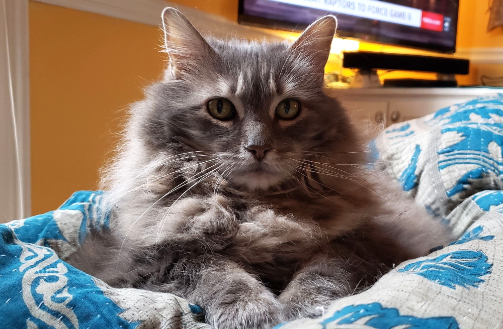 Zara is a beautiful princess!