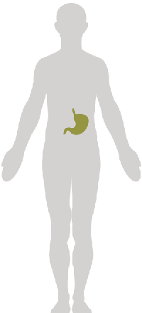 Bariatric.png