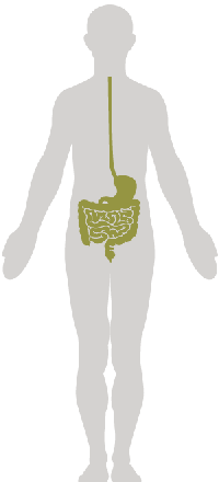 Gastroenterology.png