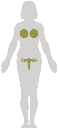 Gynecology.png