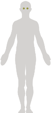 Ophthalmology.png