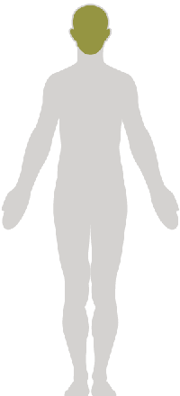 Oral_Maxillofacial.png