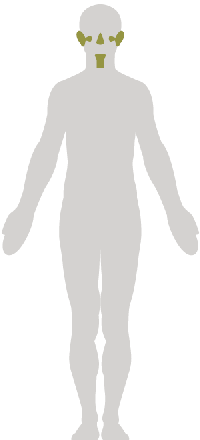 Otolaryngology.png