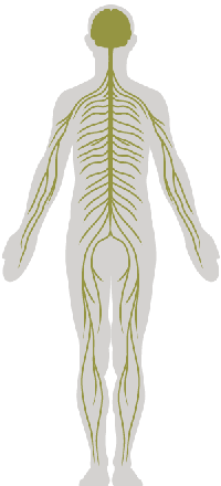 Pain_Management.png