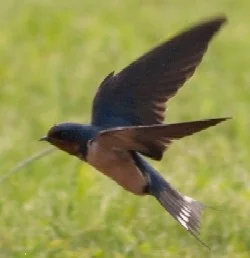 Image2.jpg