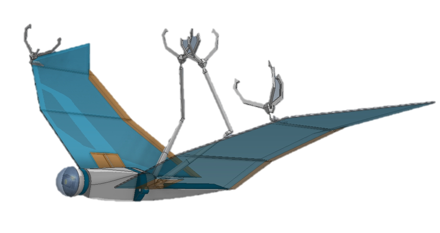 RobotBatUIUCChung.png