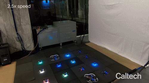 Machine Learning Helps Robot Swarms Coordinate