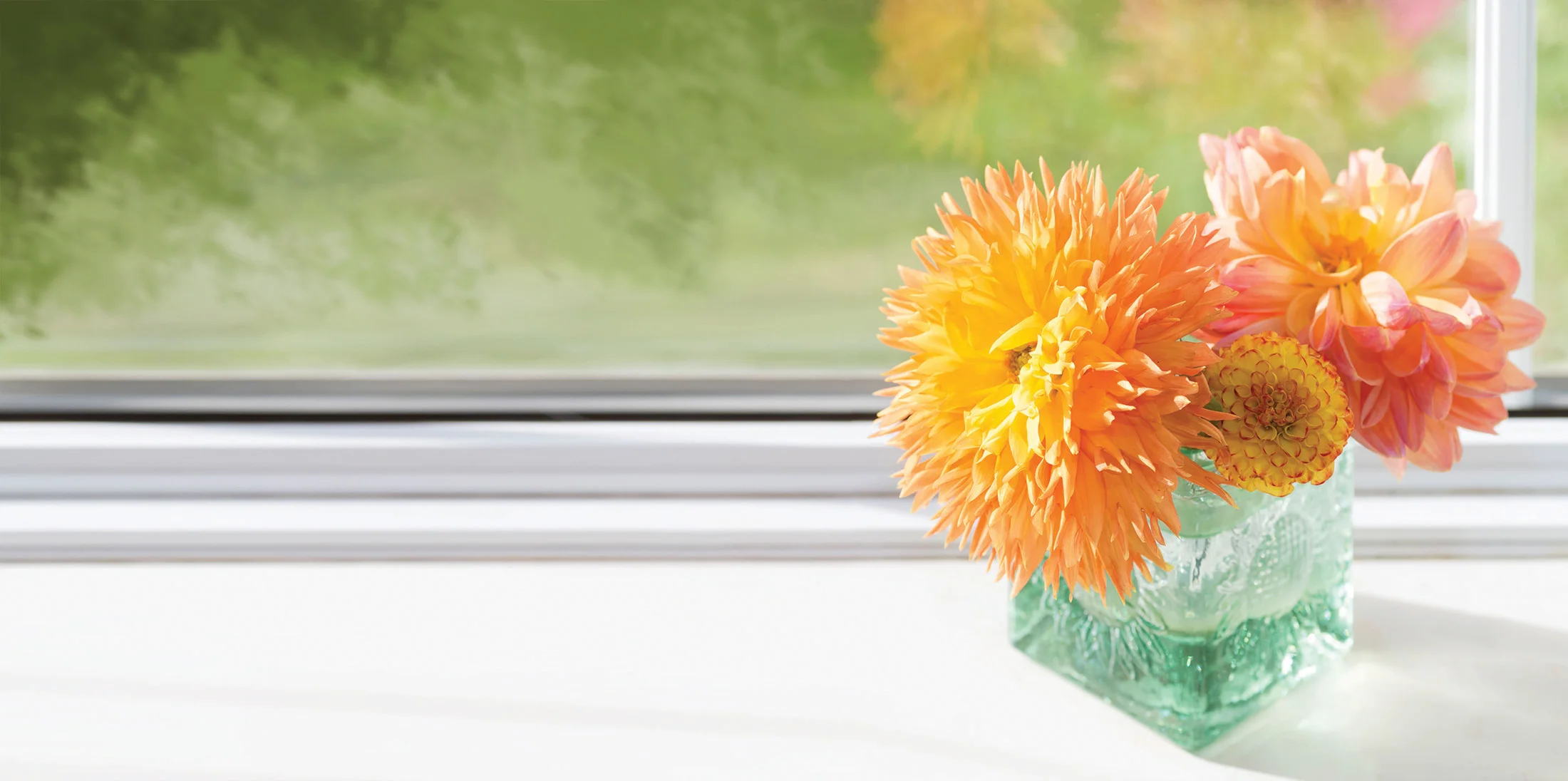 SPP_Flower_Window_Banner.jpg