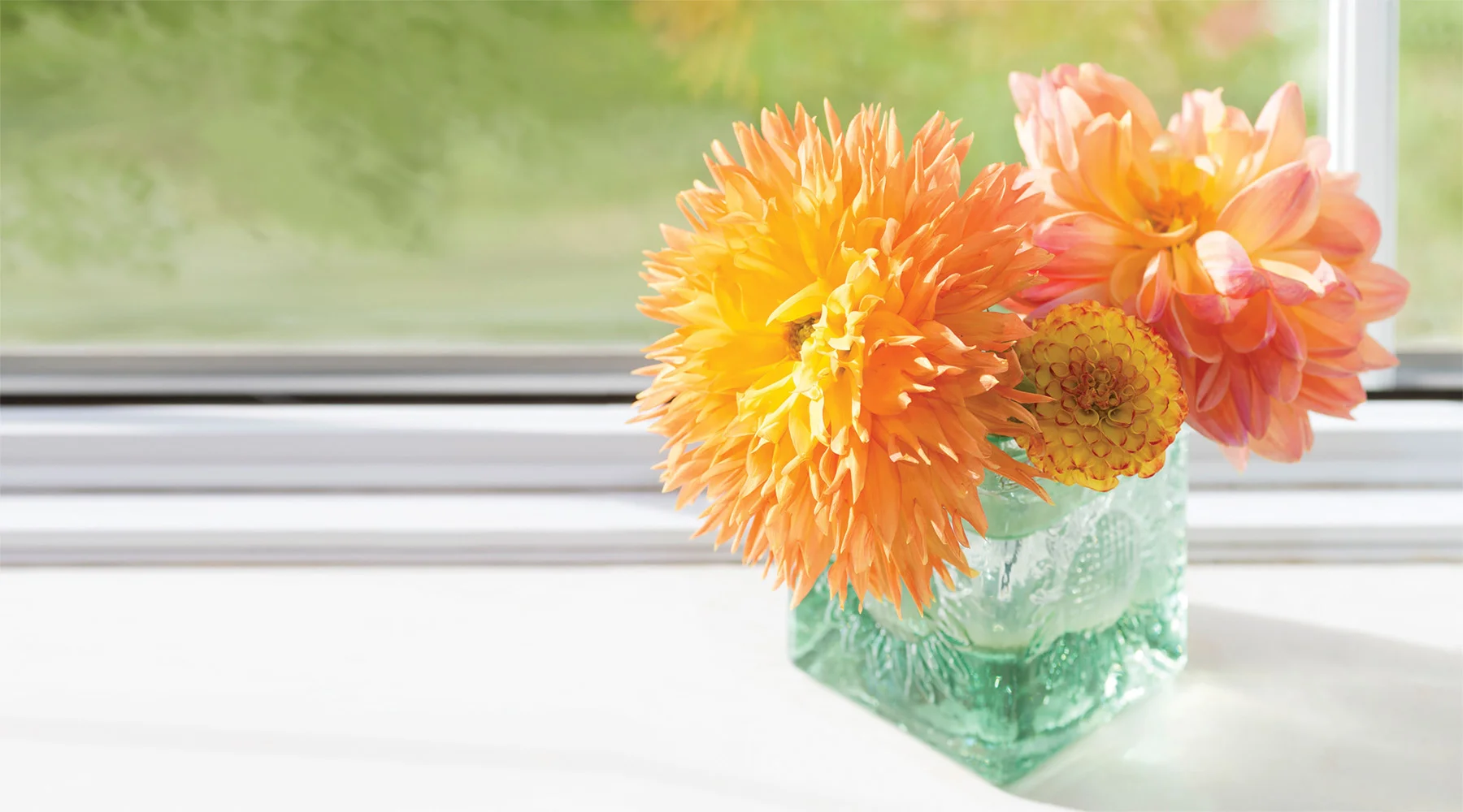 SPP_Flower_Window_Banner.jpg