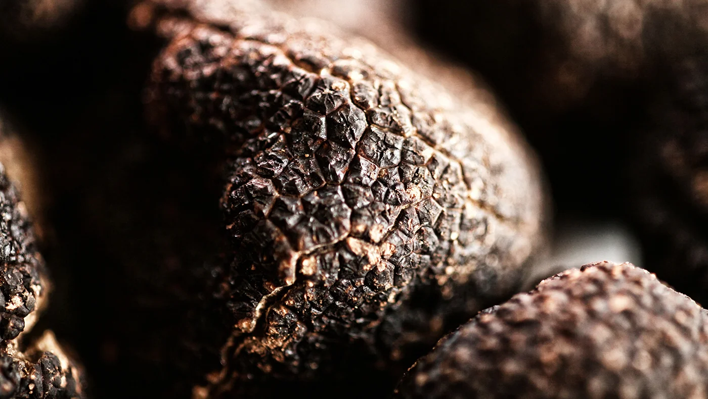 truffels_05_small.jpg