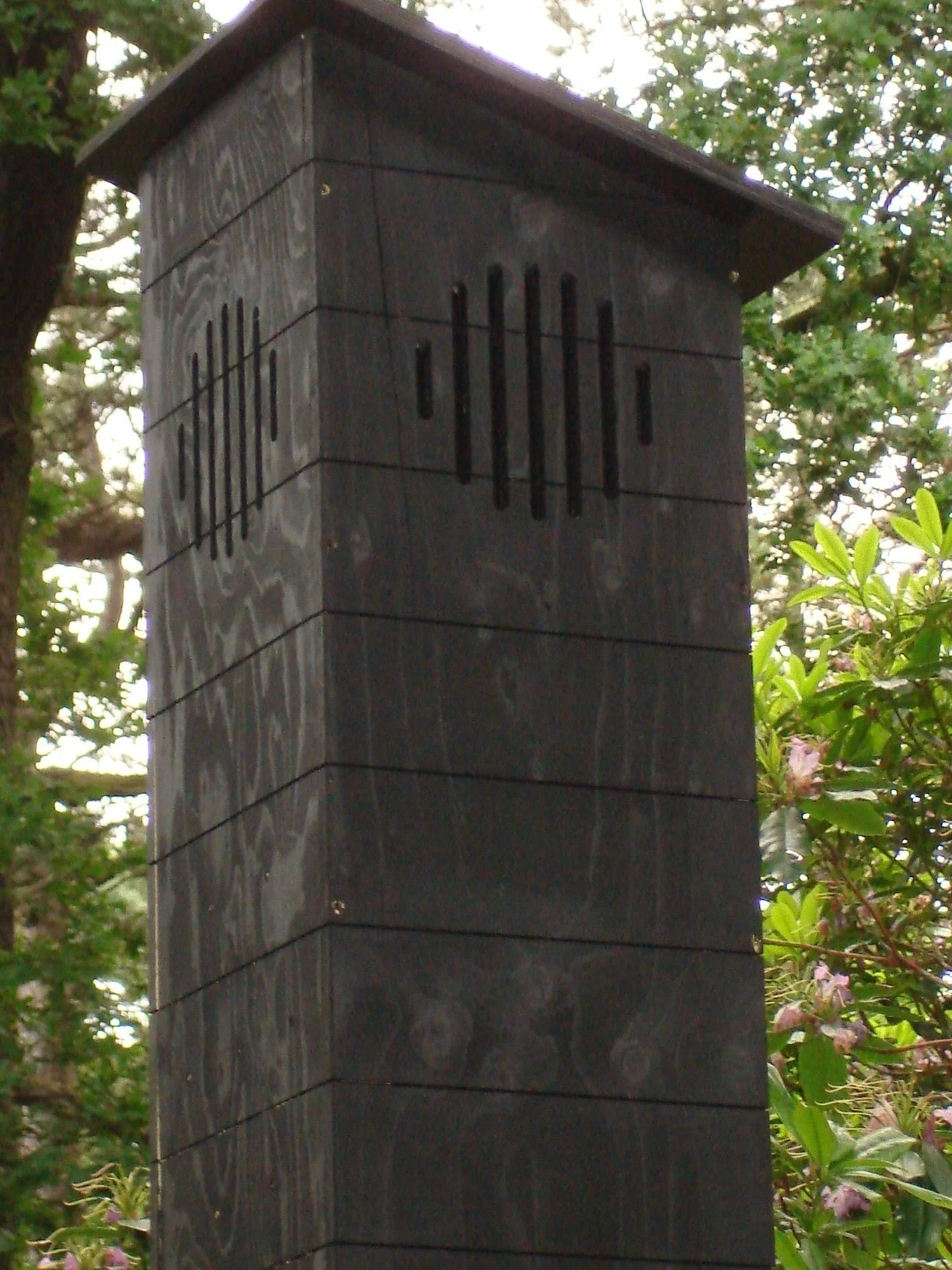 DSC01284.JPG