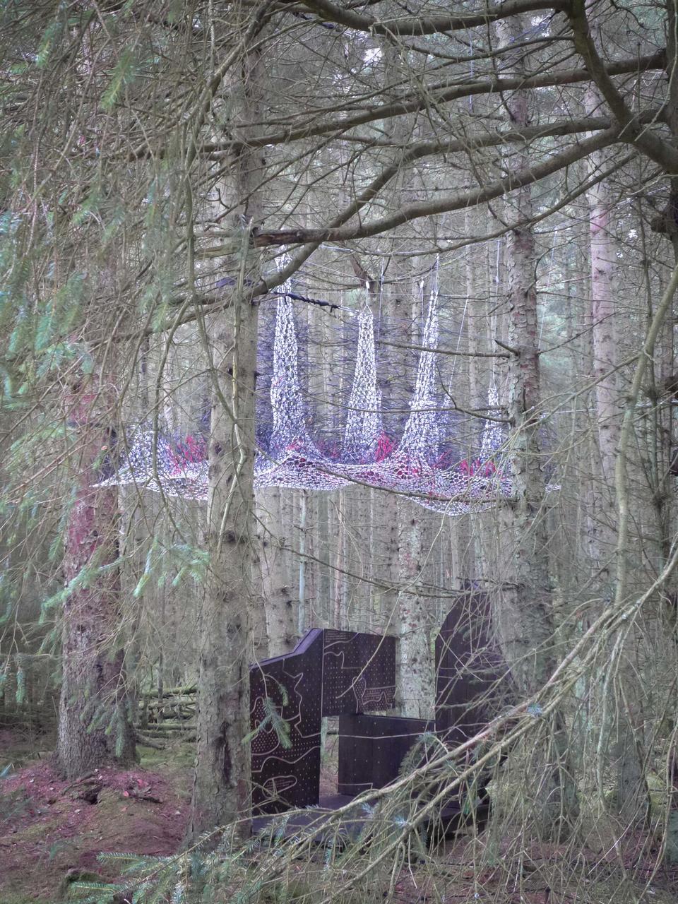 canopy_05.jpeg