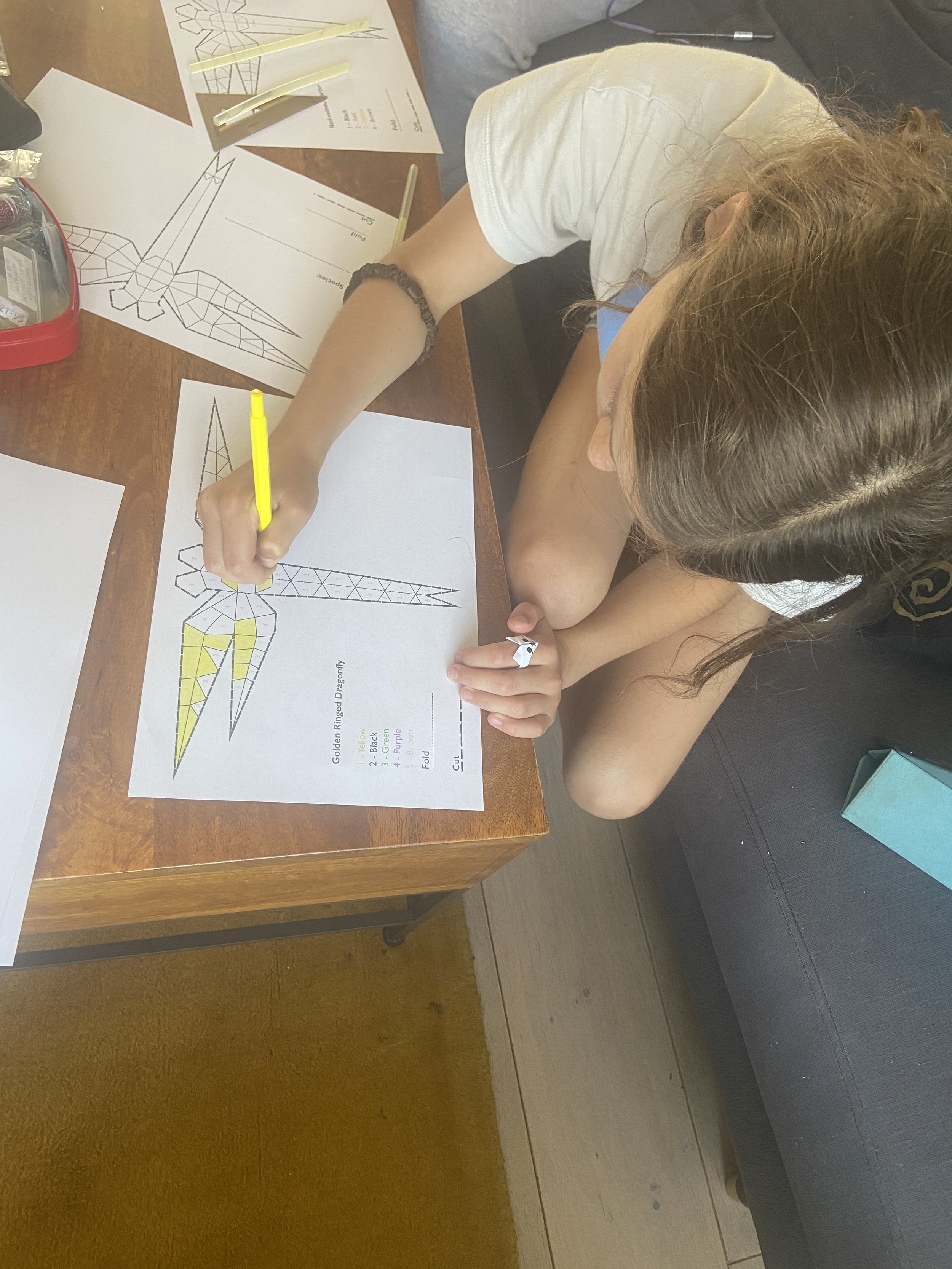  As part of the engagment programme, a series of workshops were undertaken with the local community to create their own dragonfly creations using paper cutouts. Three local poets were also invited to collaborate at the workshops to create  new work d