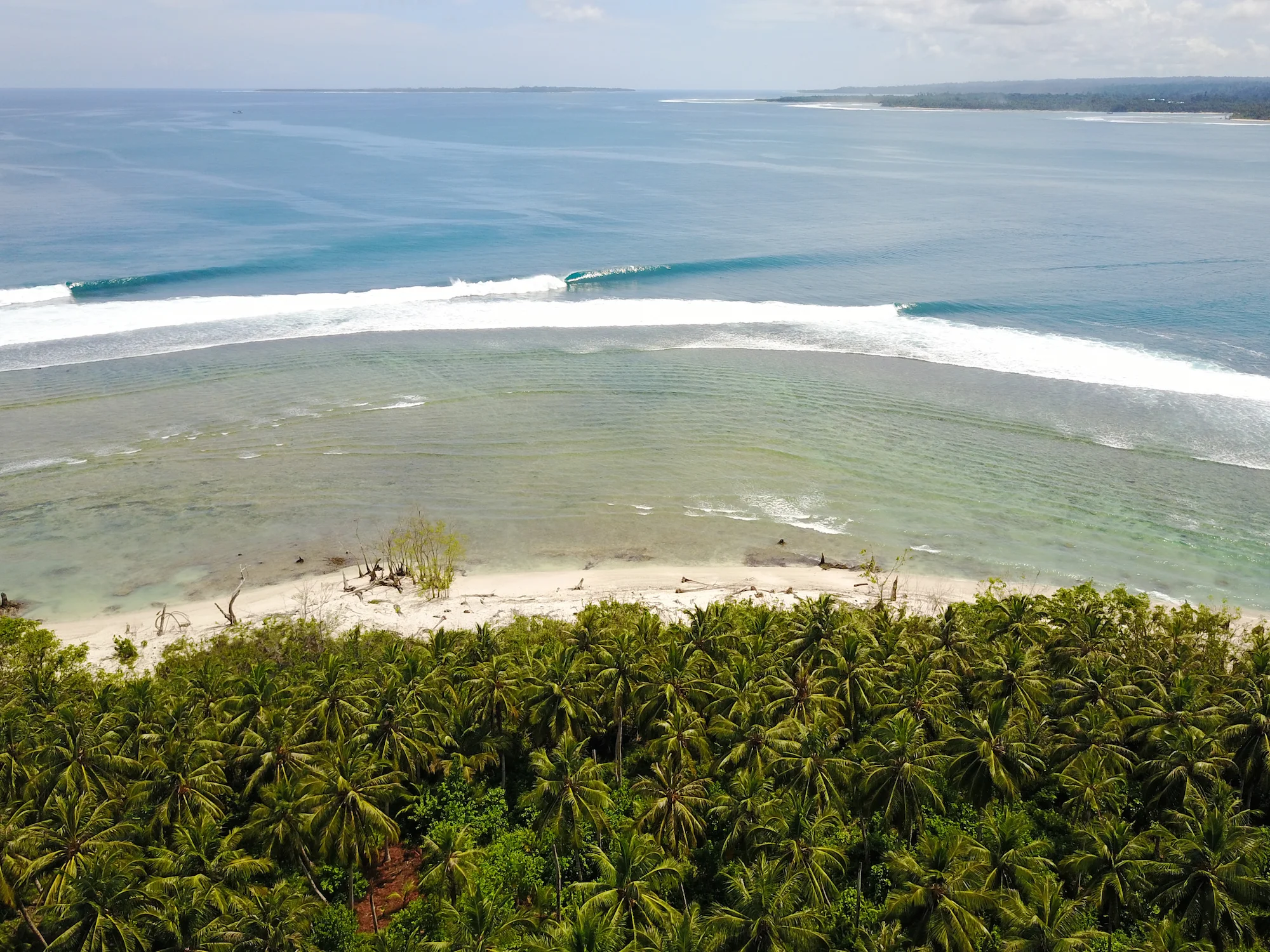 DJI_0556.jpg