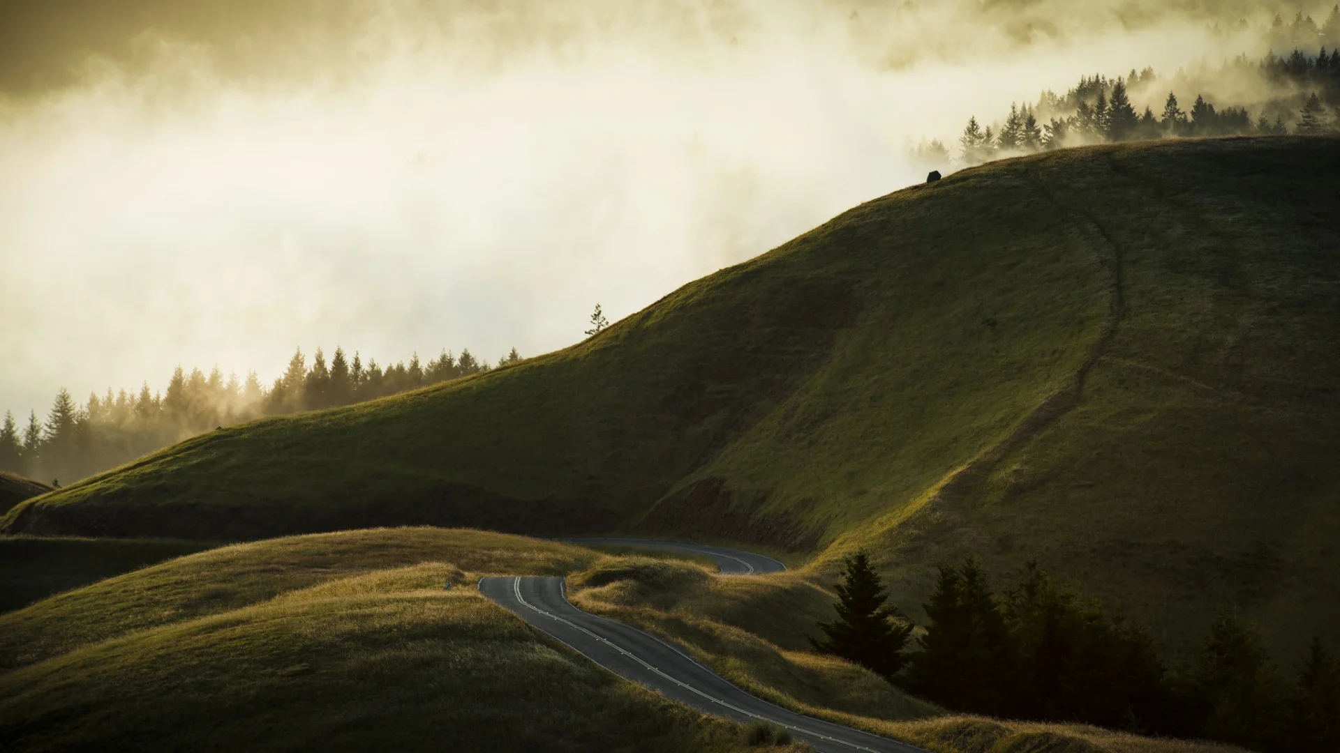 mt-tamalpais-of-winding-country-road-Stinson-Beach-in-California-USA.jpg