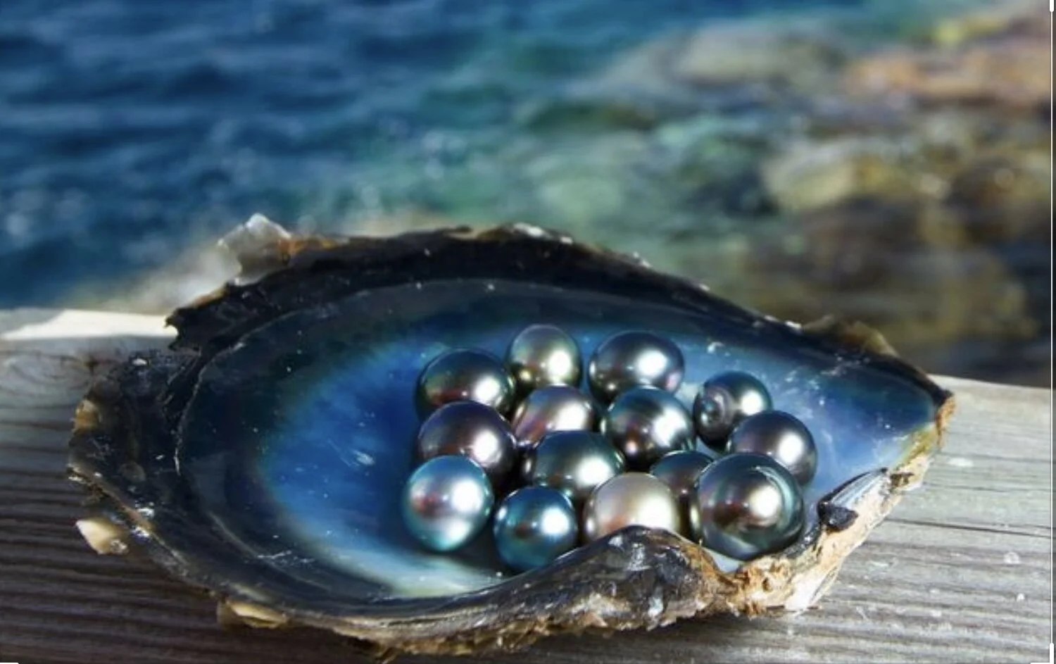 Pearls: One of Nature's Most Beautiful Representations of Women.