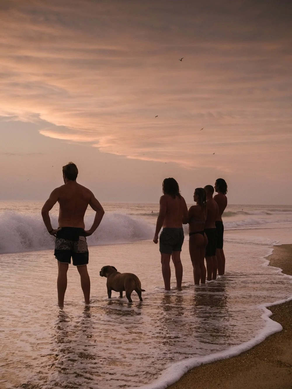 Warm water, warmer light, and a good boy #surfhouse #hossegor 
📸 @marleneannak