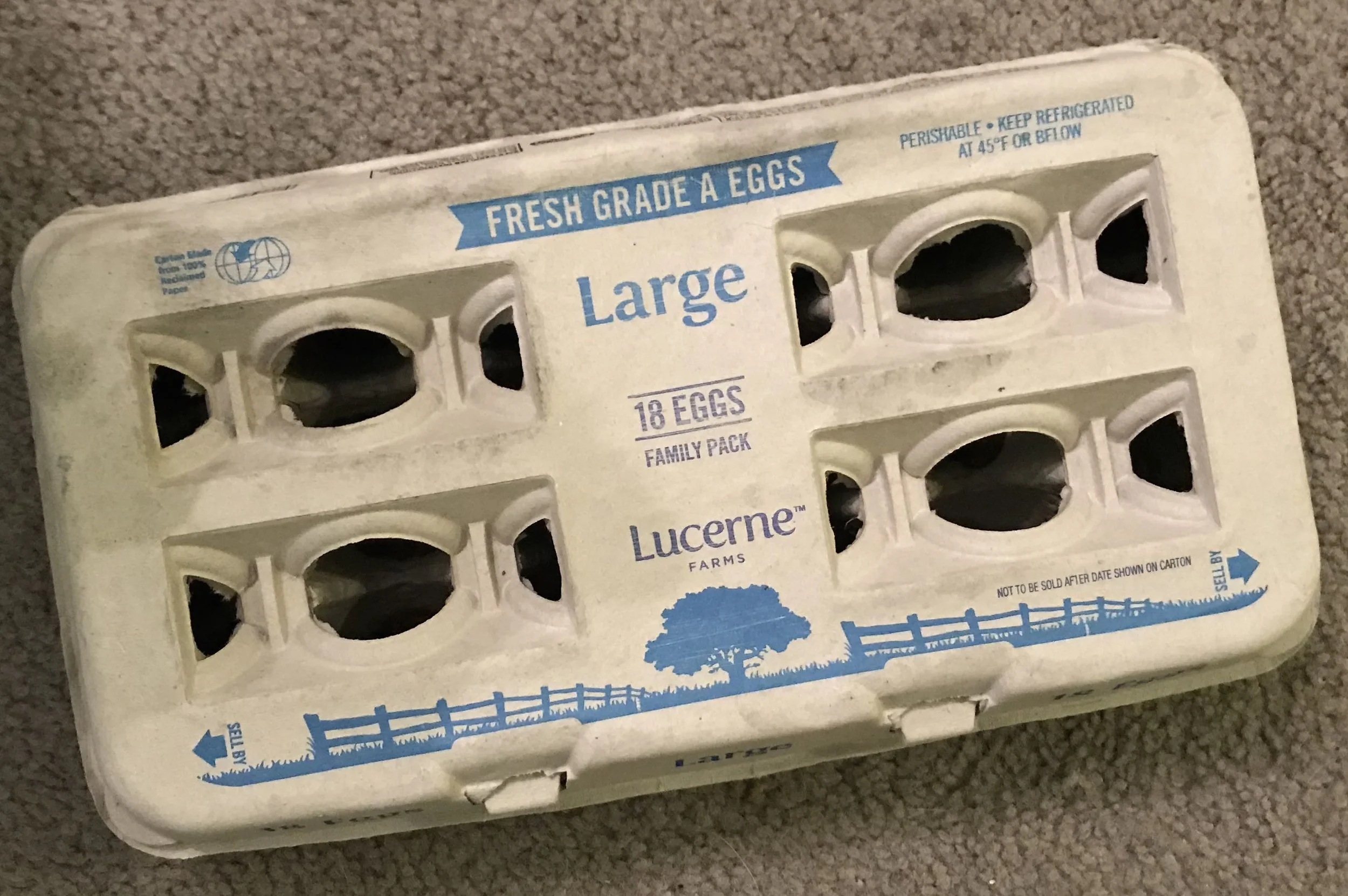 egg carton.jpg