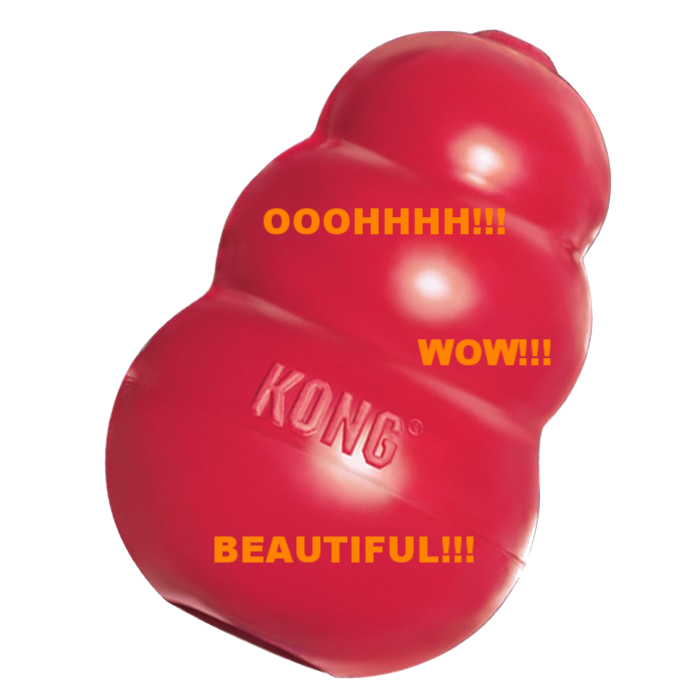 No... The KONG Company has not paid me for this glowing recommendation of their product. I just really like it :)