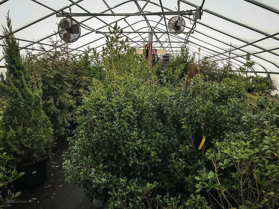 Vineyard Gardens - Evergreen House