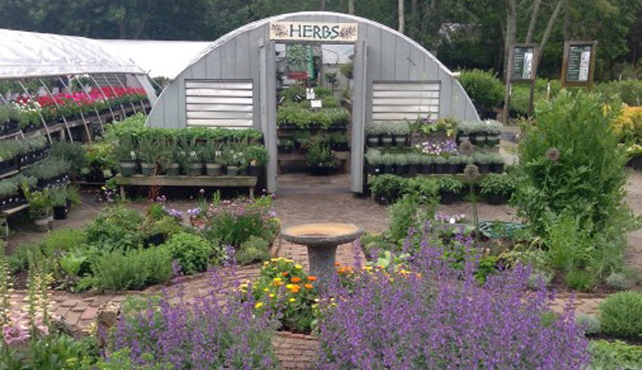 greenhouses — Horticultural landscaping blog by Vineyard Gardens of West Tisbury, MA — Vineyard
