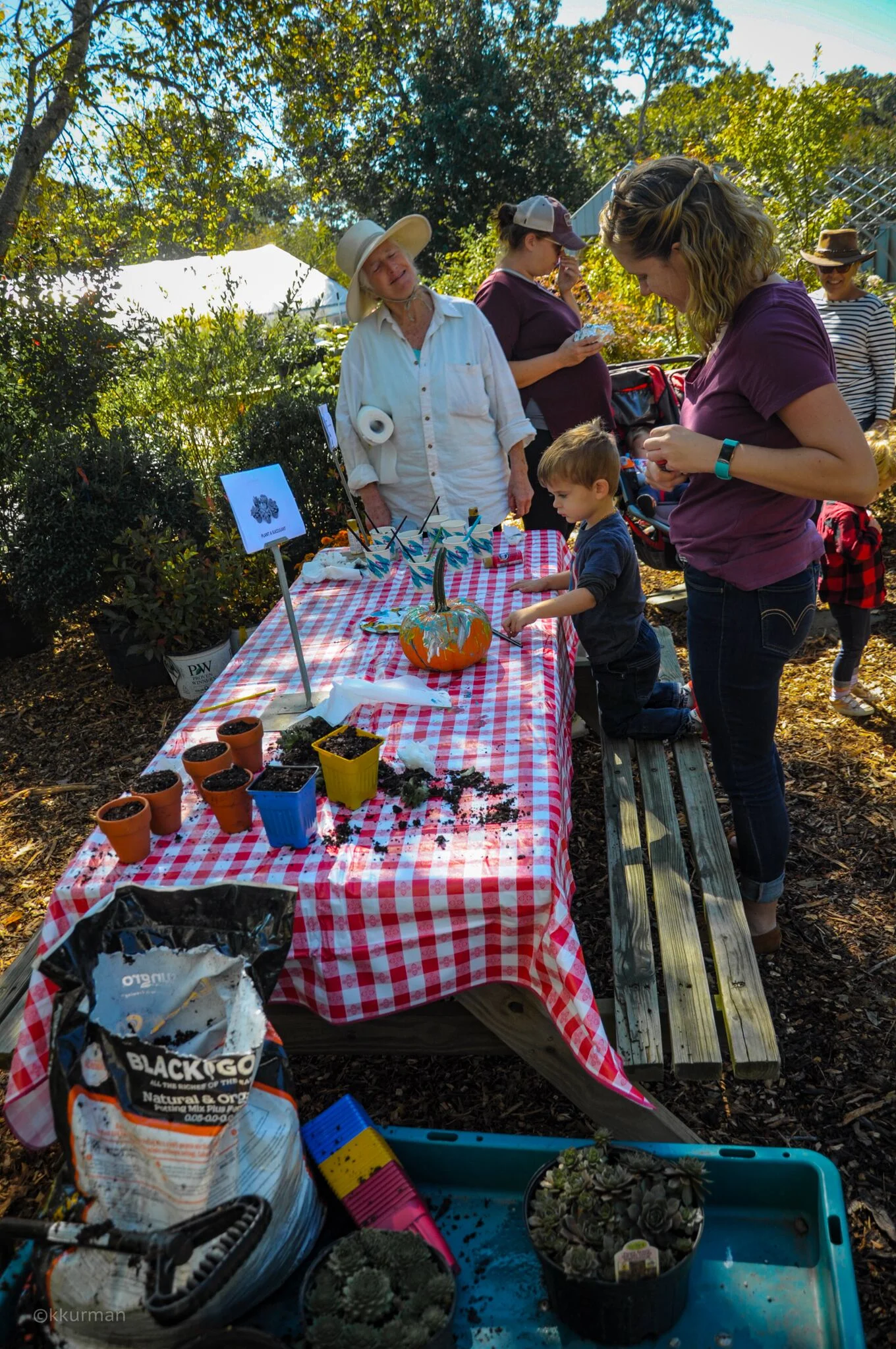 Craft tables for the kiddies; pumpkin painting, succulent planting, under Debbie’s able guidance