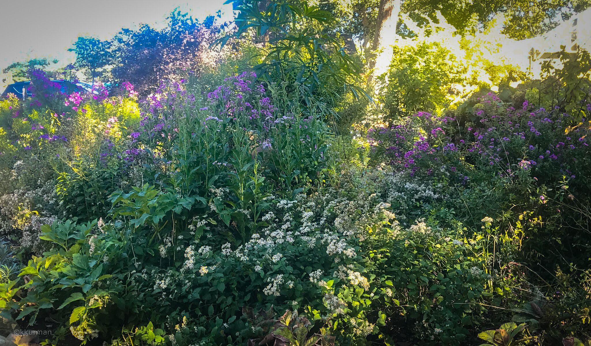 The Display Gardens in the Autumn Light
