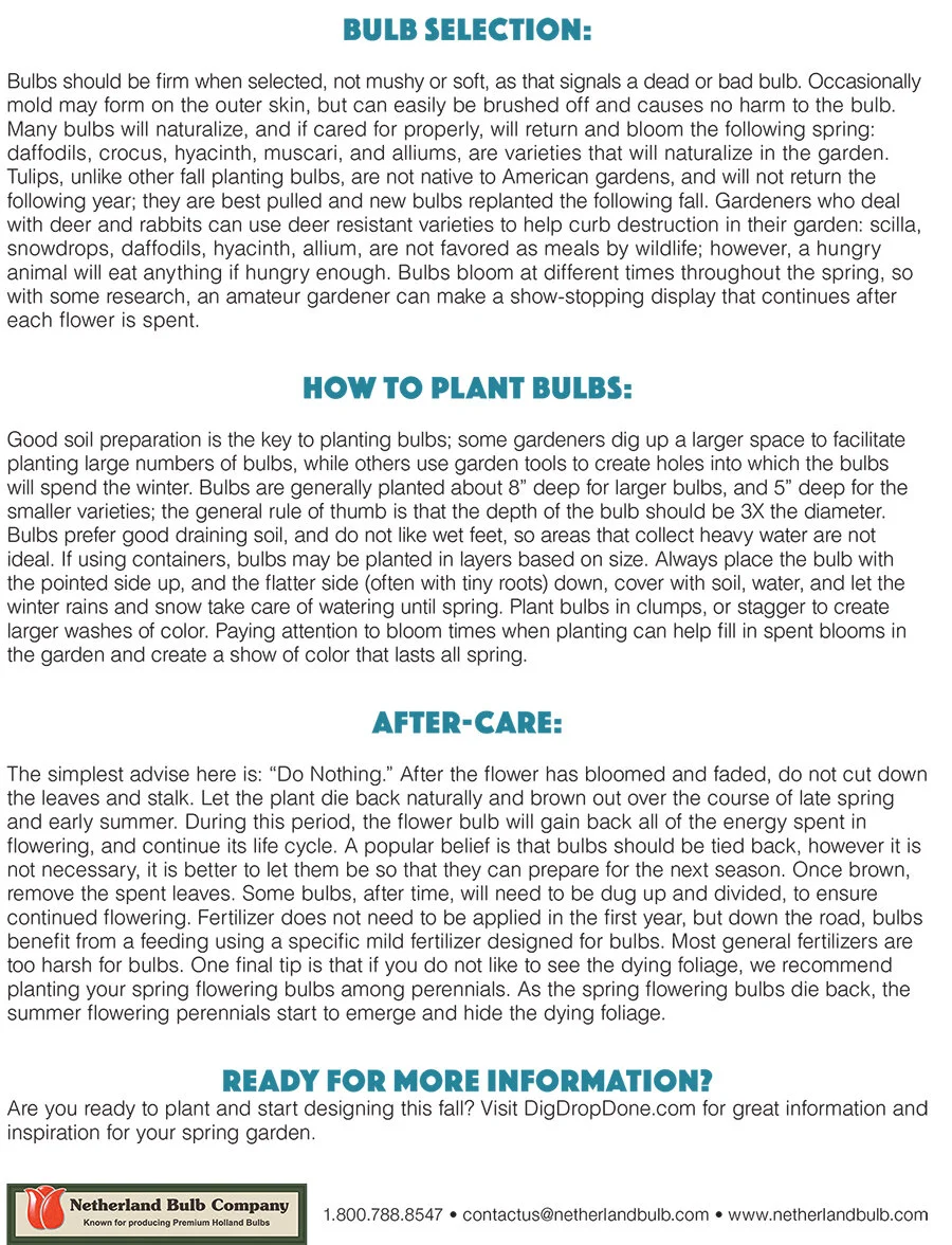 Fall Bulbs 101b.jpg
