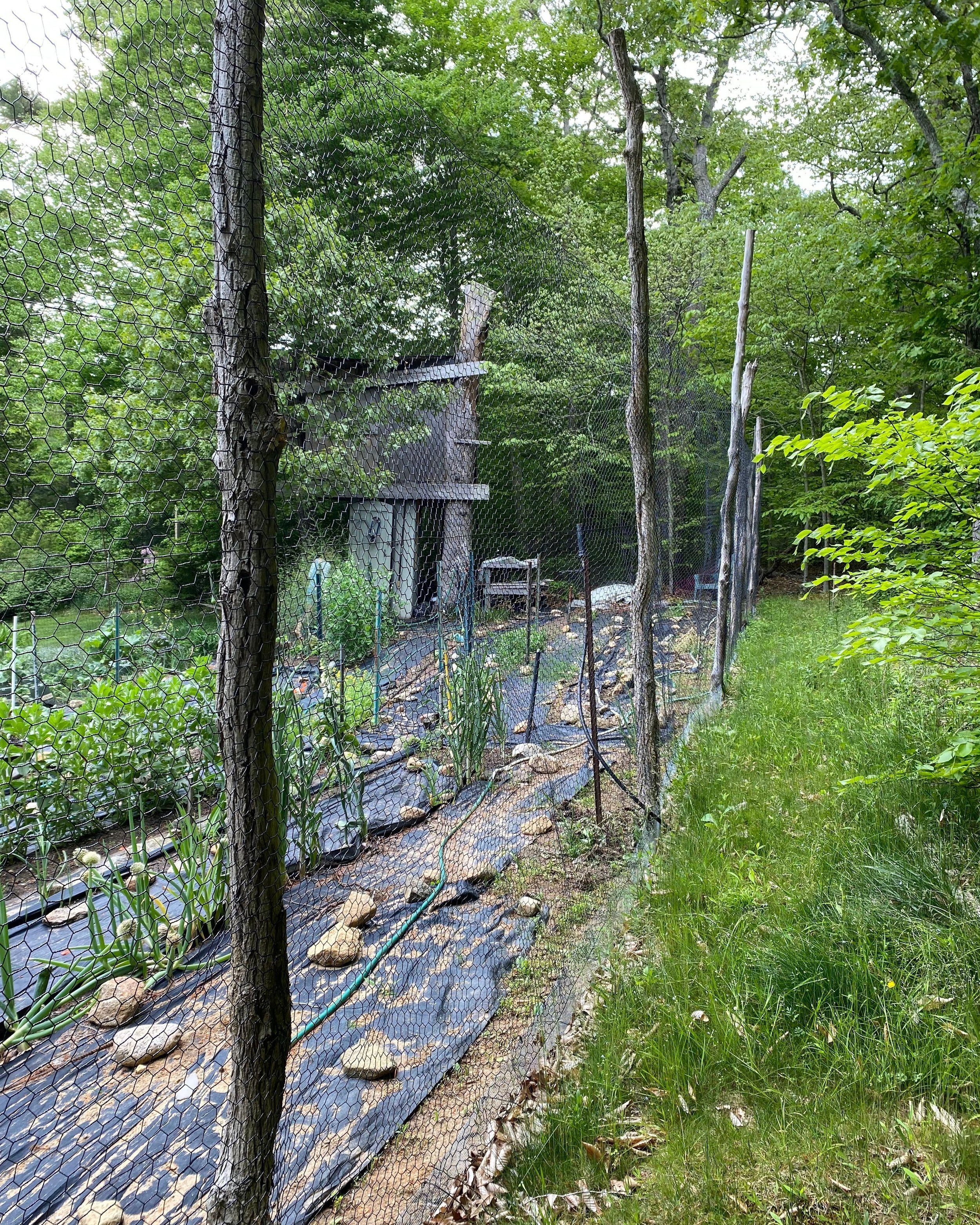 by MA Vineyard Gardens Horticultural blog Vineyard West — Tisbury, of Gardens MAY — landscaping