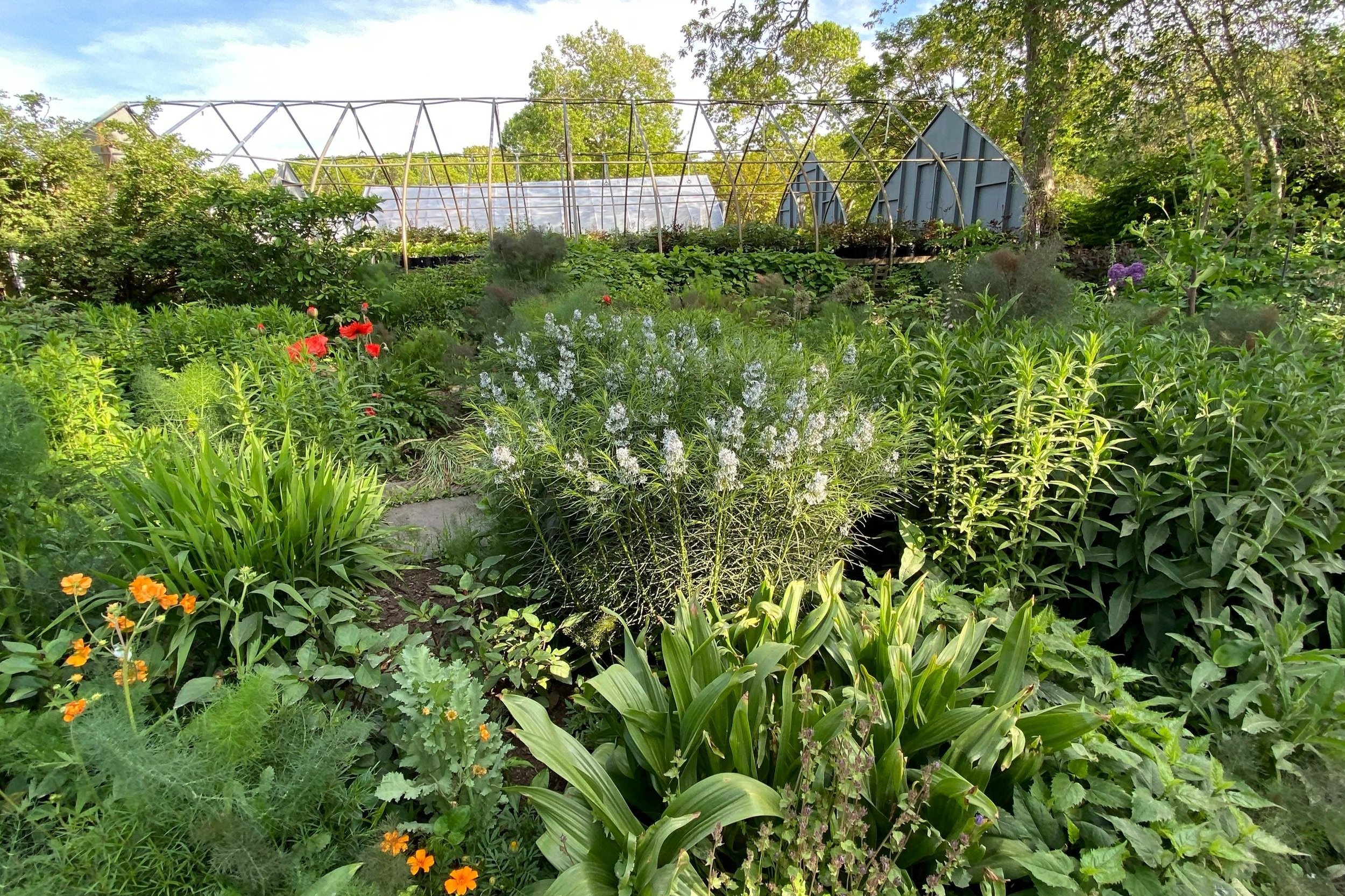 Horticultural Gardens West Gardens MA Vineyard landscaping of MAY — blog — by Tisbury, Vineyard