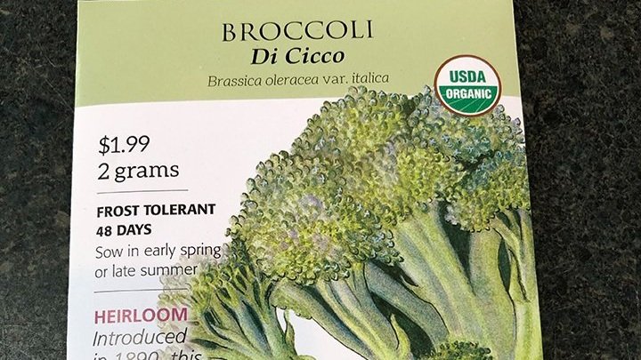 Broccoli+di+ciccio.jpg