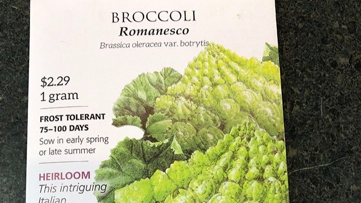 Broccoli+ramenesco.jpg