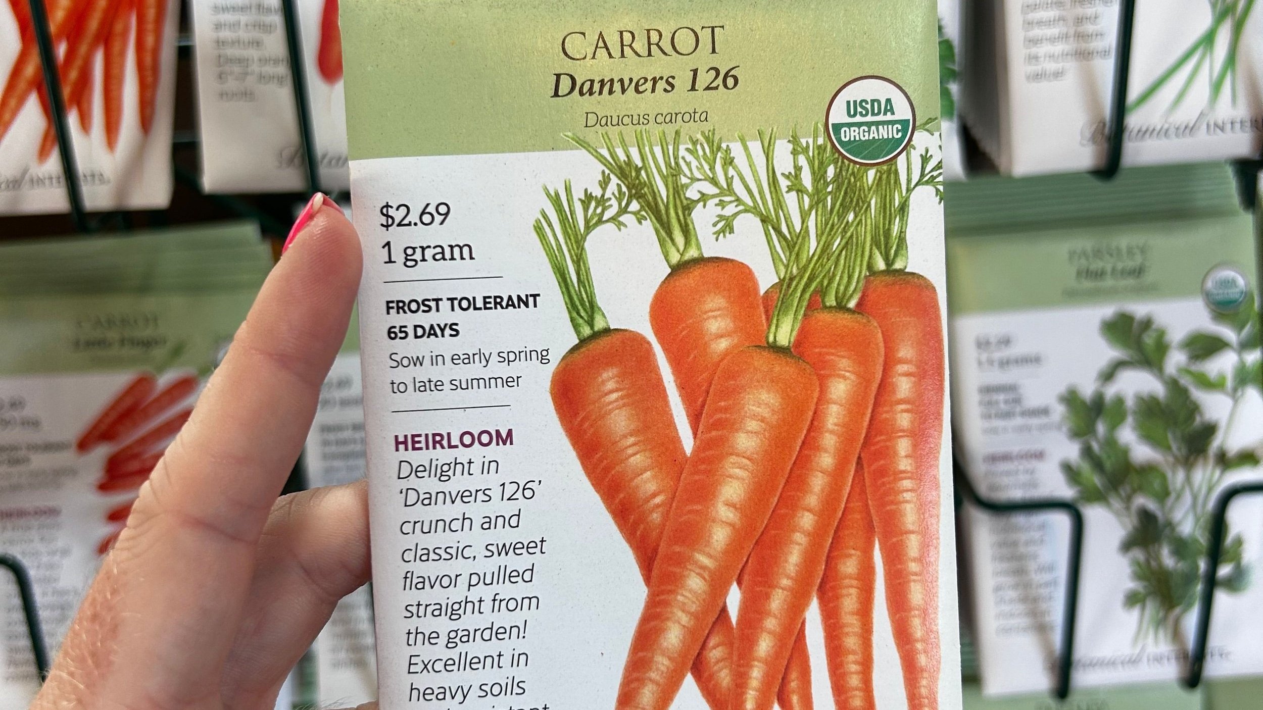 Carrots+danvers+126.jpg