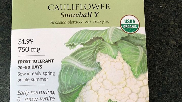 Cauliflower+snowball+y.jpg