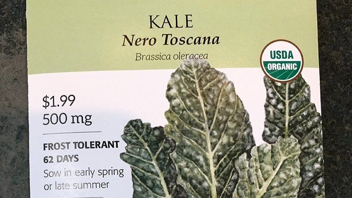 Kale+Nero+tuscano.jpg