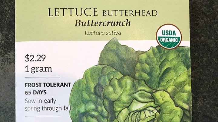 Lettuce+buttercrunch.jpg