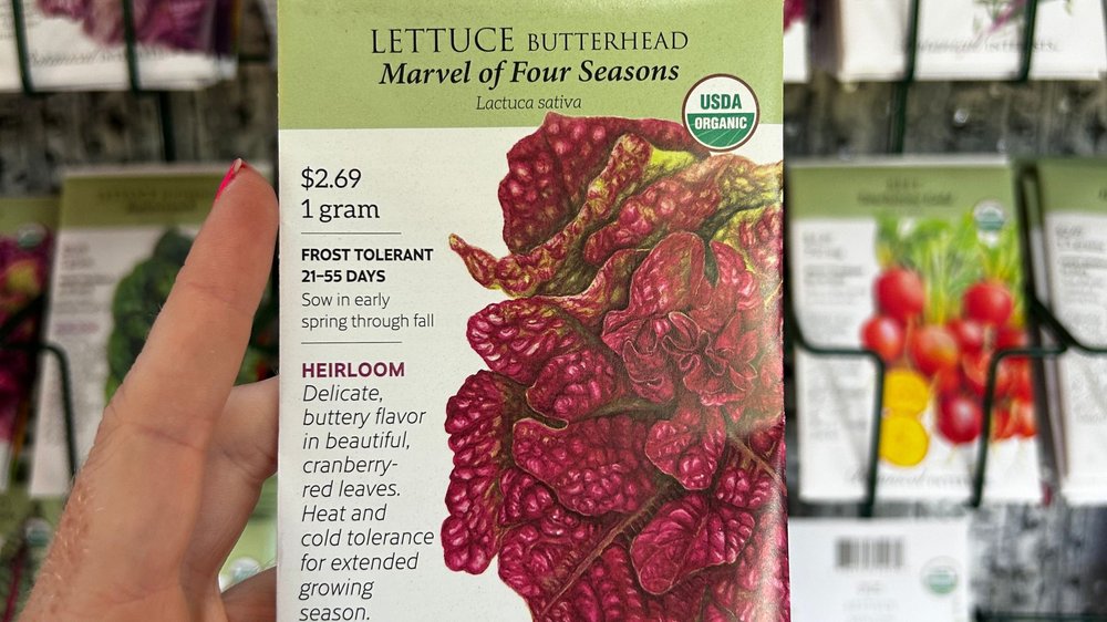 Local Ingredient: Rose petals - The Martha's Vineyard Times