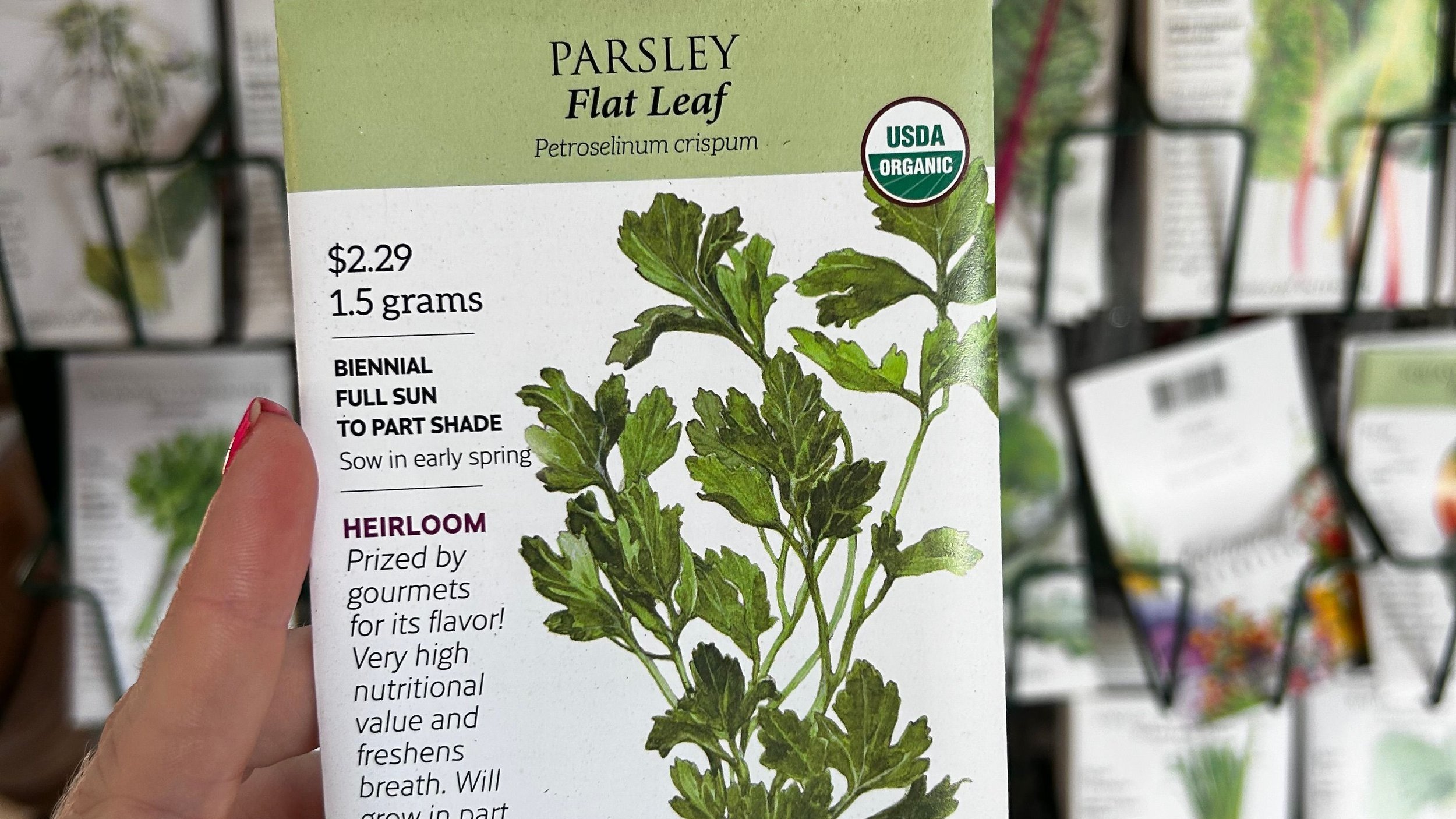 Parsley+flat+leaf..jpg