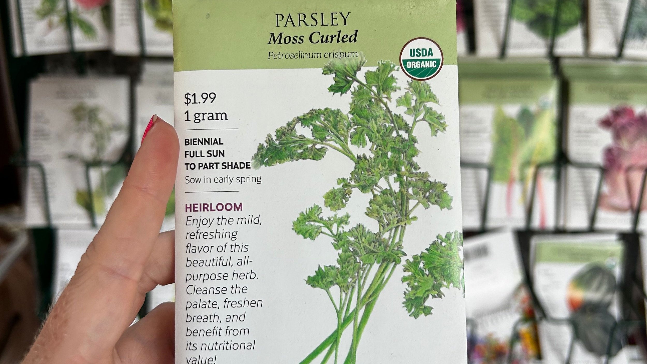 Parsley+moss+curled.jpg